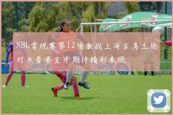 NBL常规赛第12场激战上海玄鸟主场对决香港金牛期待精彩表现